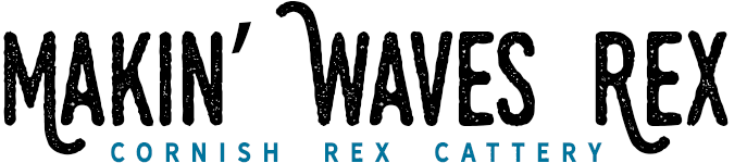 Makin Waves Rex